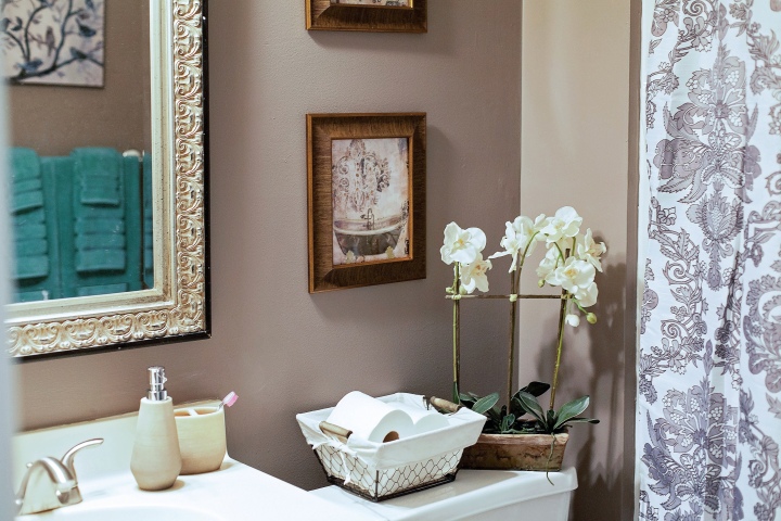 2017 Sherwin-Williams Color of the Year Bathroom Transformation